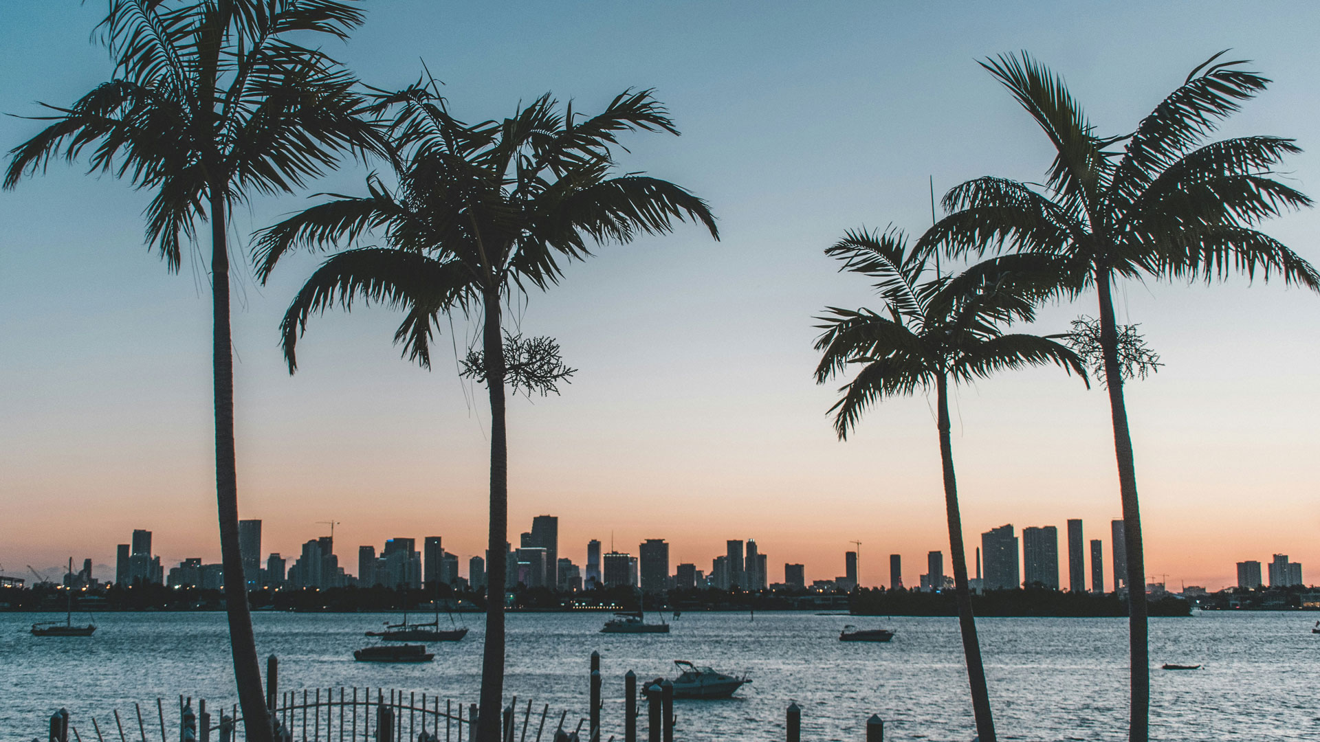 Silhouettes of palm trees and anchored boats in the foreground with a city skyline across the water at sunset.