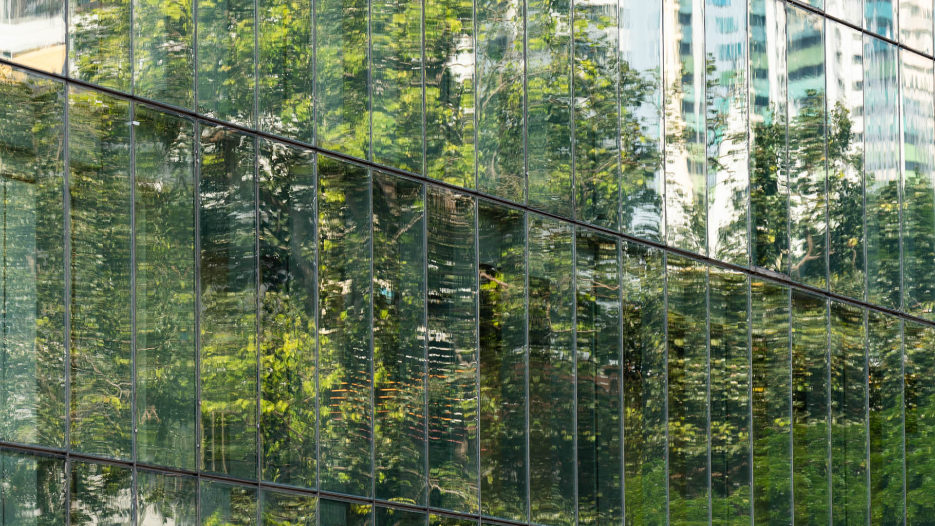 Reflective trees on a glass office