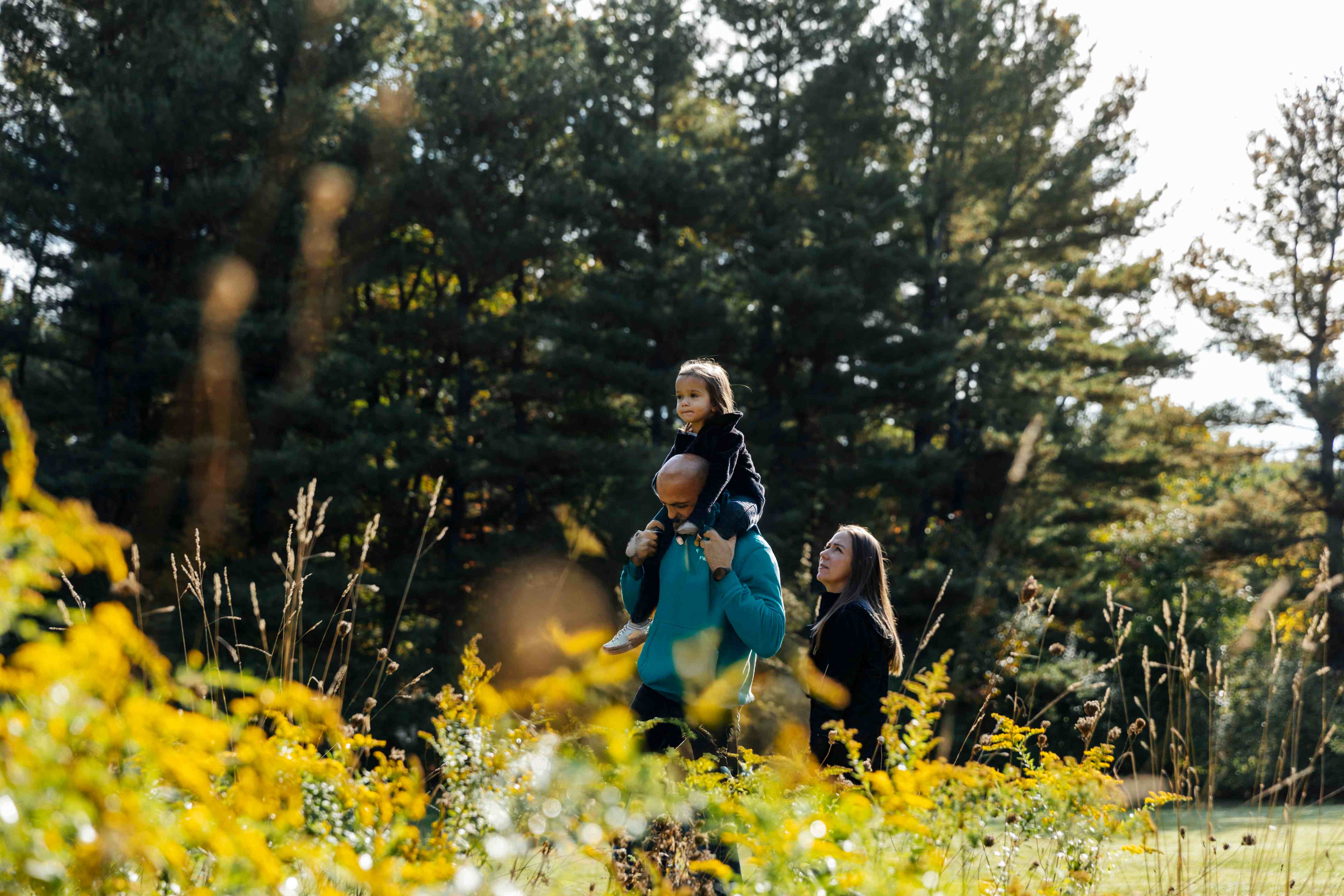 Personal bookcase and armchair