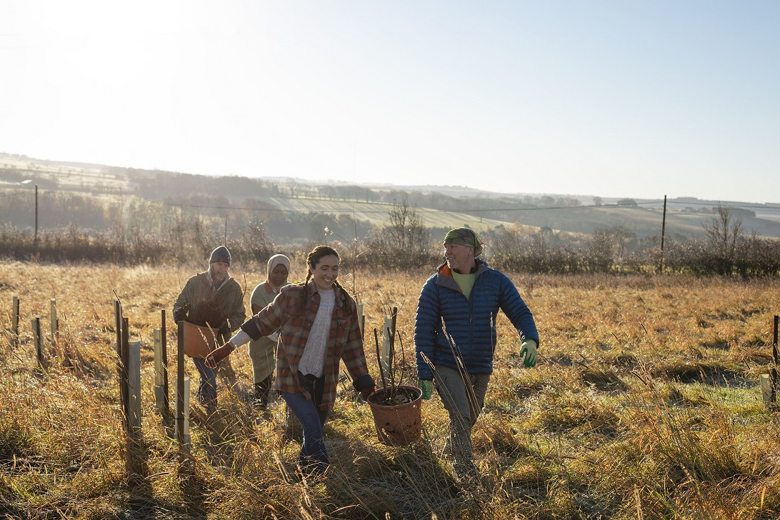 A group of charity trustees outside working together in a field