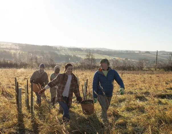 A group of charity trustees outside working together in a field