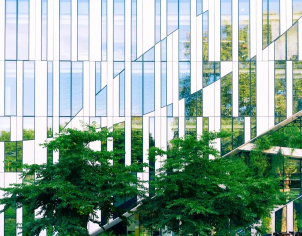 A modern glass office building façade with geometric reflections and green trees in the foreground
