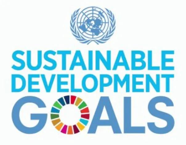 UN global compact logo