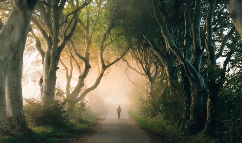 A man hiking in the Scottish hills with his dog 