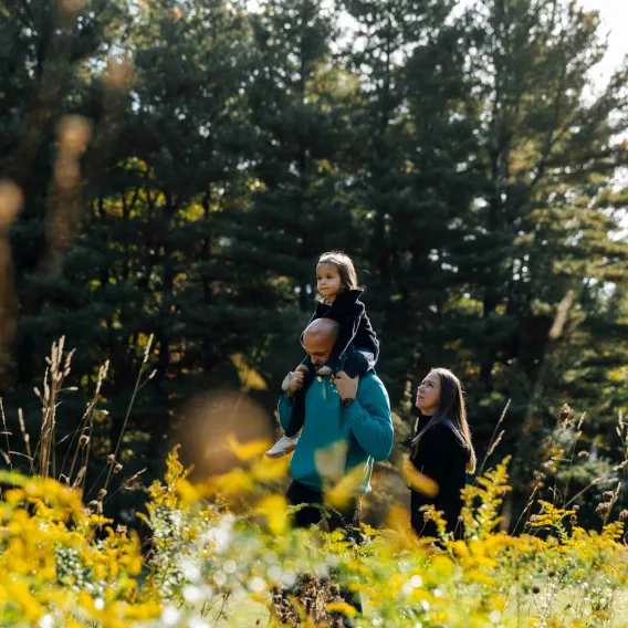 Personal bookcase and armchair