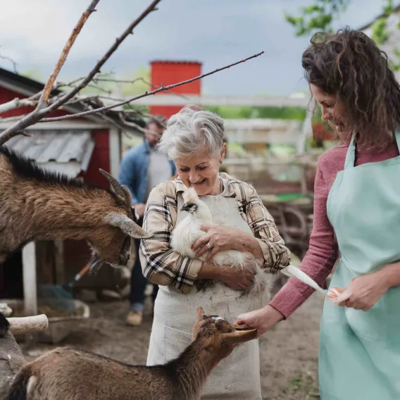 Two charity volunteers interact with animals at a rescue sanctuary