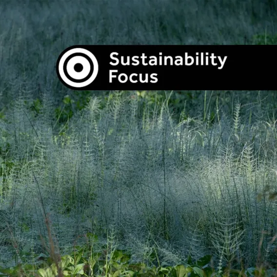 A view of a wild grasses in an open plain with a 'Sustainability Focus' investment label on it