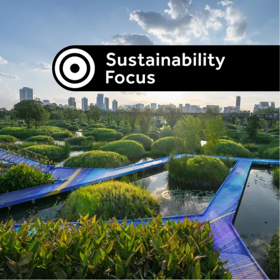 Boardwalks cut through the wetlands of the Benjakitti Forest Park in Bangkok, with a "Sustainability Focus" stamp on top