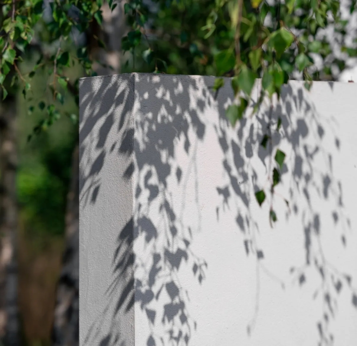 wall