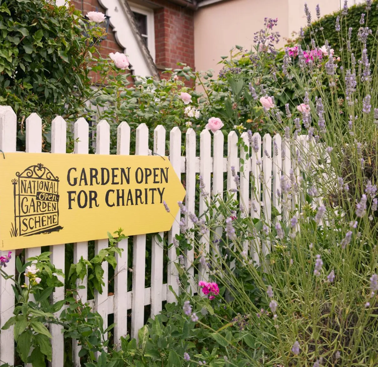 A "Garden open for charity" sign hangs on a white picket fence of a garden bed bursting with lavender flowers