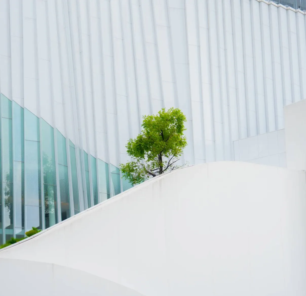 A lime green tree pokes up from behind a white wall of a corporate office