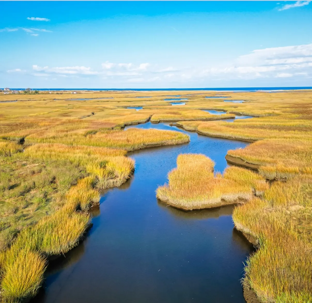 River in marsh land