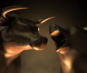 Bull and Bear