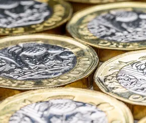 Pound coin