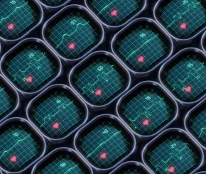 Multiple heart monitors