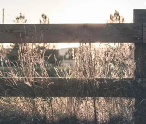 Fence
