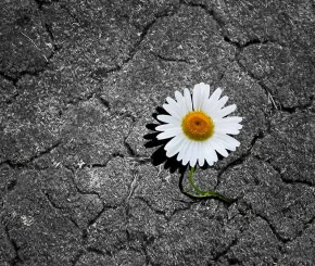 The cycle of hope 