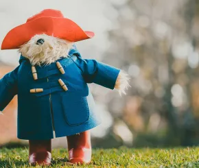 Paddington bear