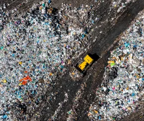 Rubbish Dump