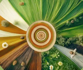 graphic of circle with land and soil