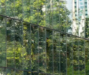 Reflective trees on a glass office
