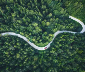 Aerial view of a winding road passing through a dense green forest with a few cars visible