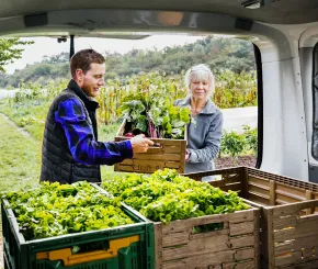 Two business owners loading van with fresh produce