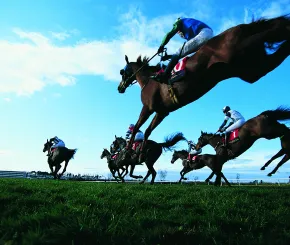 jump horseracing