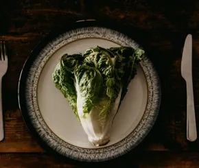 another-plateful-of-gem-lettuce_blog.jpg