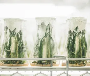 chemical-plant-containers-blog.jpg