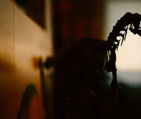 dinosaur-blog.jpg