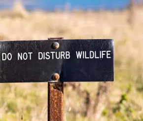 do-not-disturb_blog.jpg