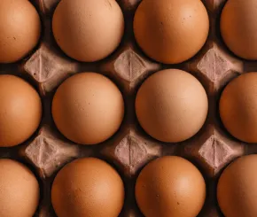 eggs_new_blog.jpg