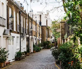mews-1200x628.jpg