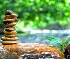 pebbles_1200x628_1.jpg