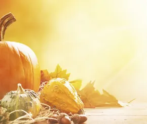 rustic-autumn-1200x628.jpg