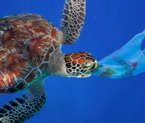 saving_the_planet_from_plastic_paulo_oliveira_alamy.jpg