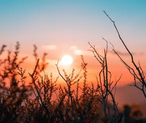sunset_1200x600.jpg