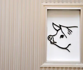 year-of-the-pig-1200x600.jpg