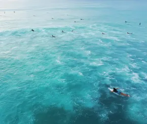 Group of people surfing