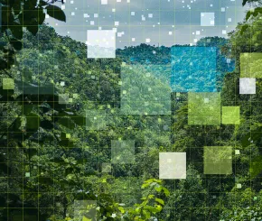 A computer-generated image of a rainforest