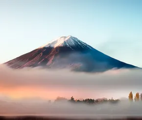 Land of the rising prices