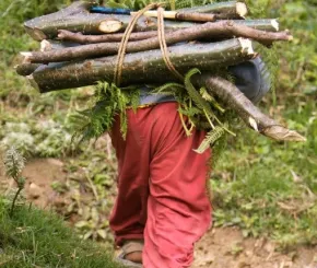 picture1.jpg