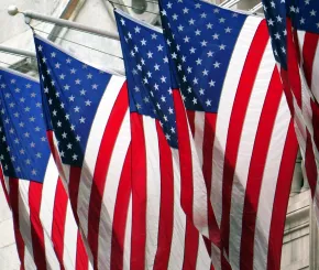 usa flags