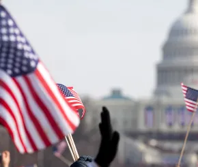 USA flags