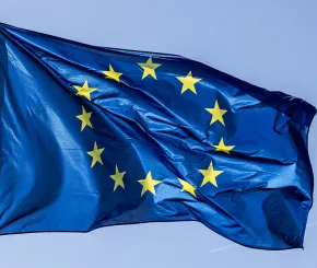 Euro flag