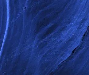 blue-voting-image_1200x600.jpg