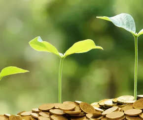 coins-green-shoots-1200x600.jpg