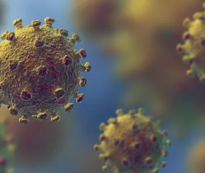 flu_1200x628_0_1.jpg