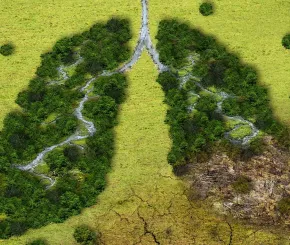 green-lungs_1200x600.jpg